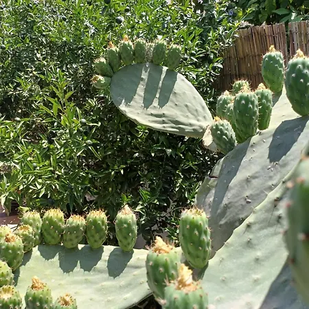 Maison d'hôtes Zeus