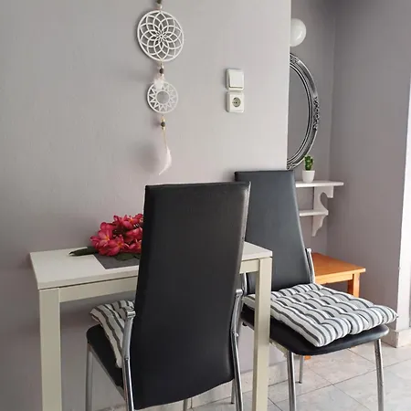 ゲストハウス Zeus Rhodes City